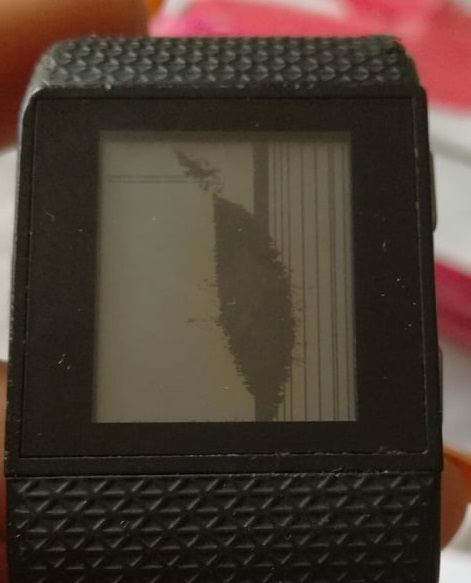22471355_10215394797250066_246310011_n.jpg