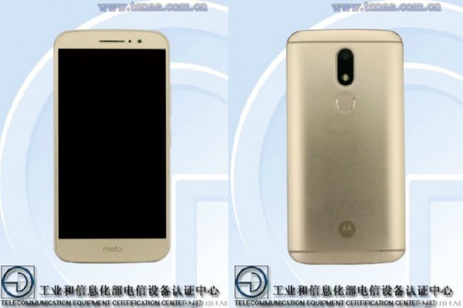 tenaa
