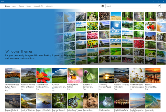 store-themes