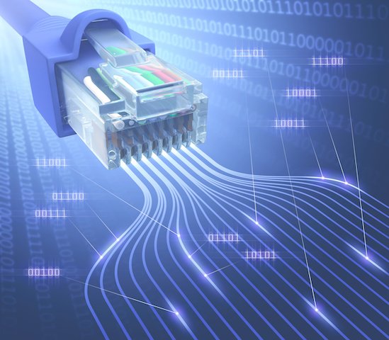 RJ45 modular connector cable for computer network and telecommunications.