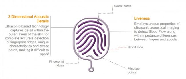 fingerprint