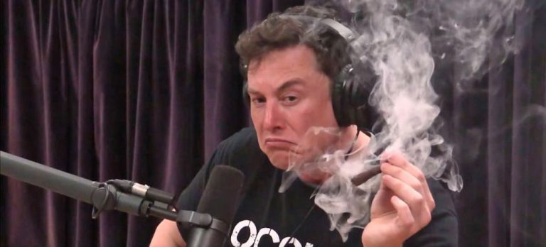 Elon Musk rozhovor