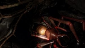 Arachnoid VR