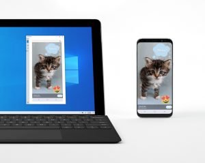windows 2