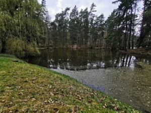 huawei p30 pro foto sample 9