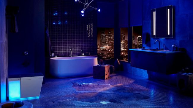 smart toilet kohler