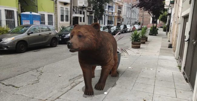 google ar bear