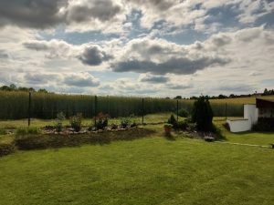 IMG 20190616 160949