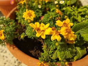 IMG 20190616 161010
