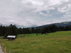 IMG 20190711 0511301