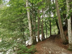 IMG 20190711 0511307