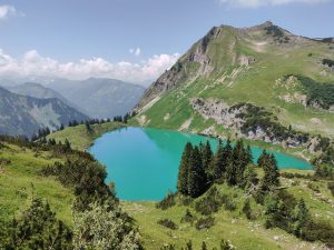 IMG 20190711 0511309