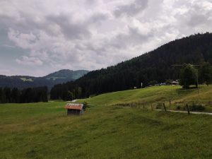 IMG 20190711 0511318
