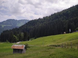 IMG 20190711 0511319
