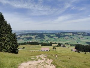 IMG 20190711 0511320