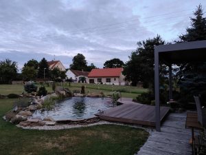 IMG 20190711 0511325