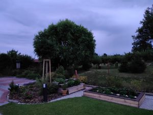 IMG 20190711 0511327