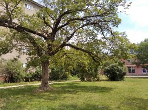 IMG 20190805 120443SM