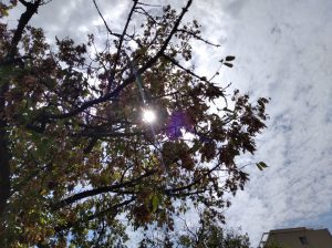 IMG 20190805 120507SM