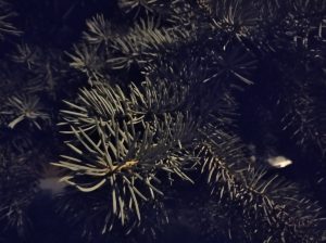 IMG 20190809 211420SM