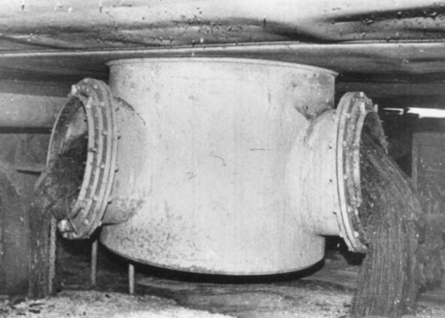 sloni noha cernobyl 2 sloni noha cernobyl 2
