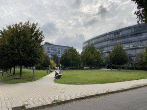 IMG 20190725 1521208