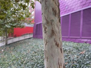IMG 20190725 1521210