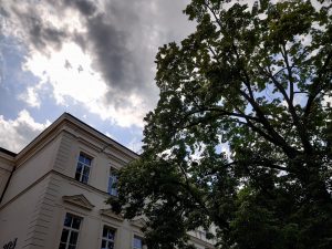 IMG 20190814 134108