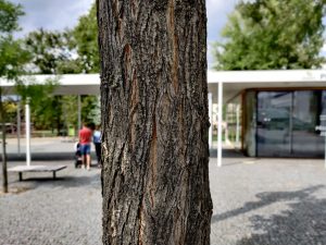 IMG 20190814 144512