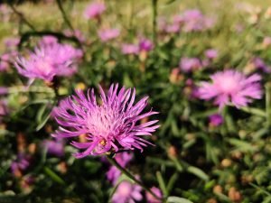 IMG 20190814 174436