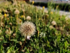 IMG 20190814 174721