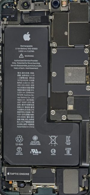 iphone xray 1