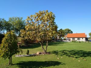 IMG 20190723 1516303