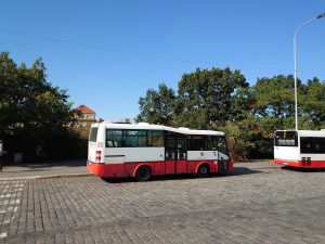 IMG 20190723 1516306