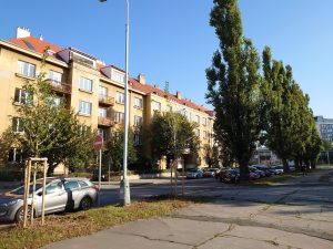 IMG 20190723 1516308