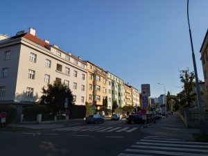 IMG 20190723 1516309