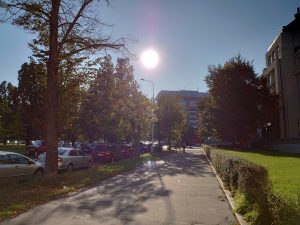 IMG 20190723 1516319