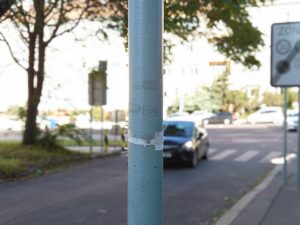 IMG 20190723 1516327