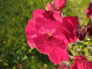 IMG 20190819 204839658