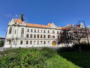 IMG 20190929 134229500 HDR