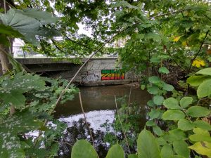 IMG 20191004 163648478 HDR