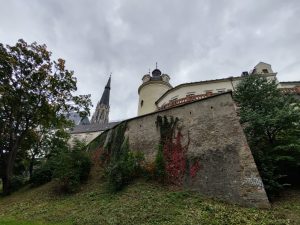 IMG 20191004 163811488 HDR