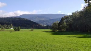 IMG 20191006 105950