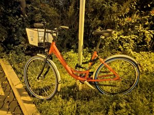 IMG 20191006 191154322