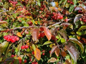 IMG 20191011 133817