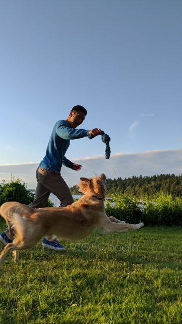 pixel 4 camera sample action shot