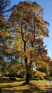 IMG 20191028 161715