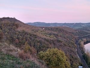 IMG 20191031 163930060 HDR