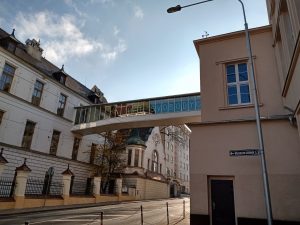 IMG 20191116 113550525 HDR