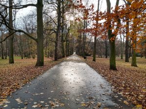 IMG 20191117 132417888 HDR